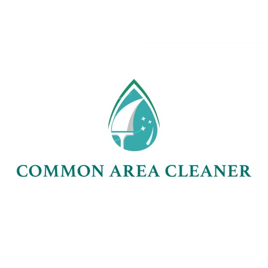 Common Area Cleaner